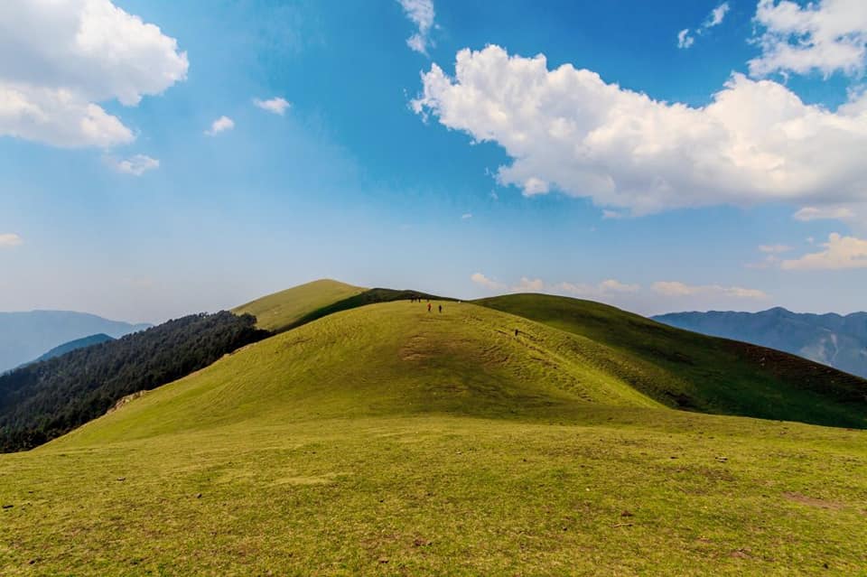 Ali Bedni Bugyal Trek: A Himalayan Paradise for Trekkers